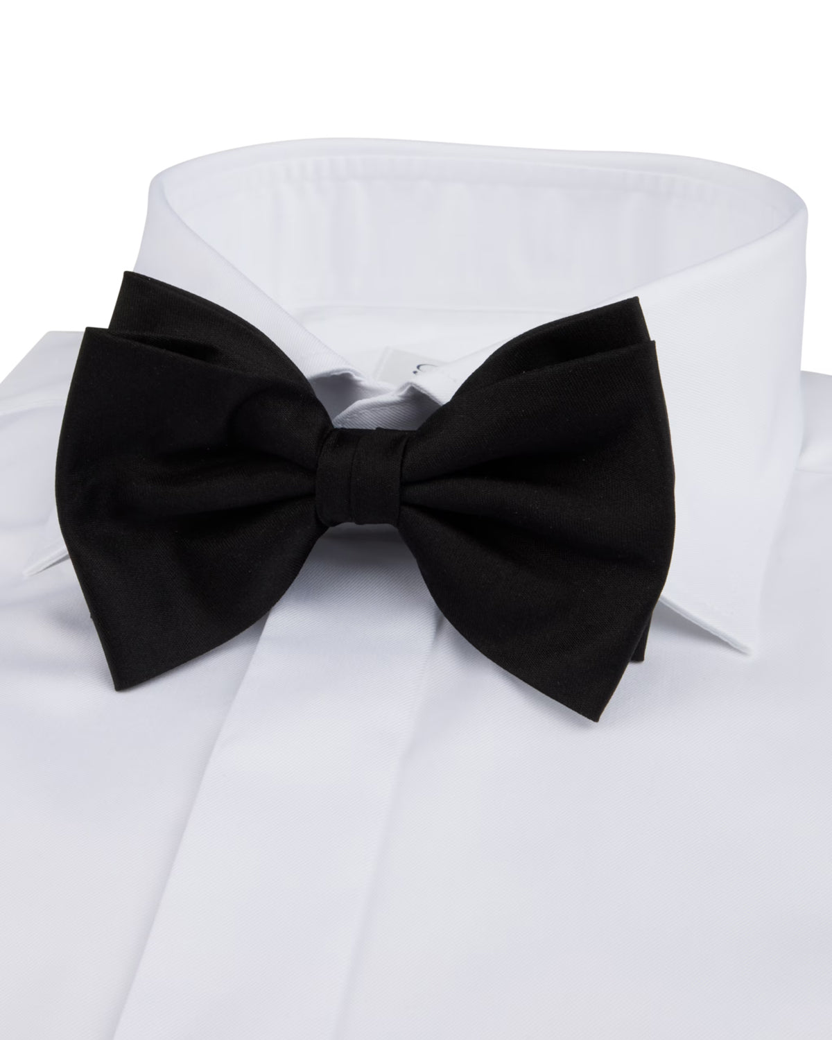 White tuxedo shirt, fitted body